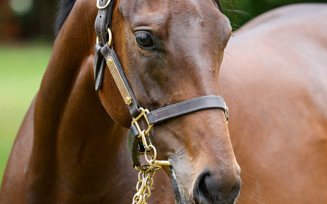 Seraphine